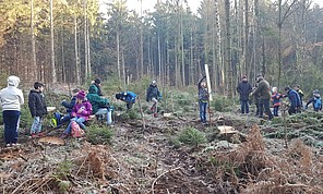 Zahlreiche Schüler*innen der GGS Neunkirchen helfen im Wald mit und pflanzen Bäume