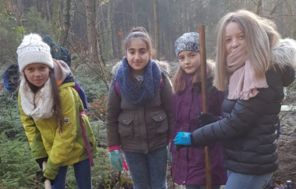 Schülerinnen der GGS Neunkirchen pflanzen im Wald junge Bäume