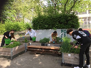 Schüler*innen der Friedensburg-Oberschule bepflanzen gemeinsam Hochbeete