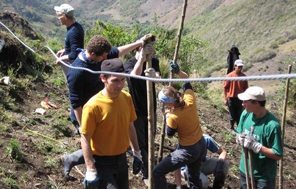 Schüler*innen helfen beim Aufbau eines Umweltzentrums in Ecuador